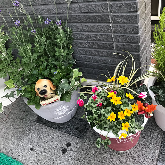 emikoさんの実例写真