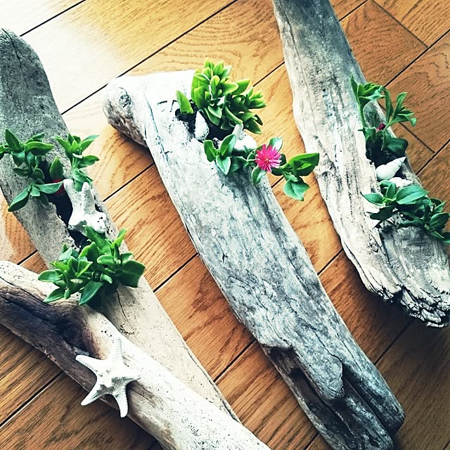 Miwakoさんの実例写真
