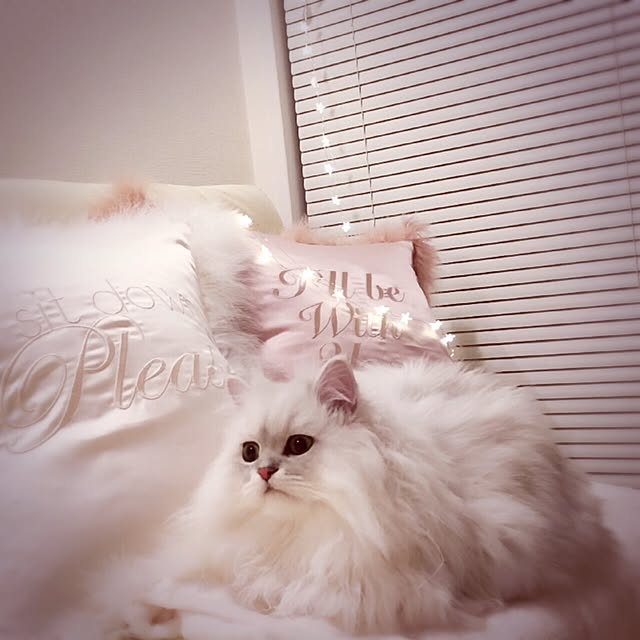 macaron_gallさんの実例写真