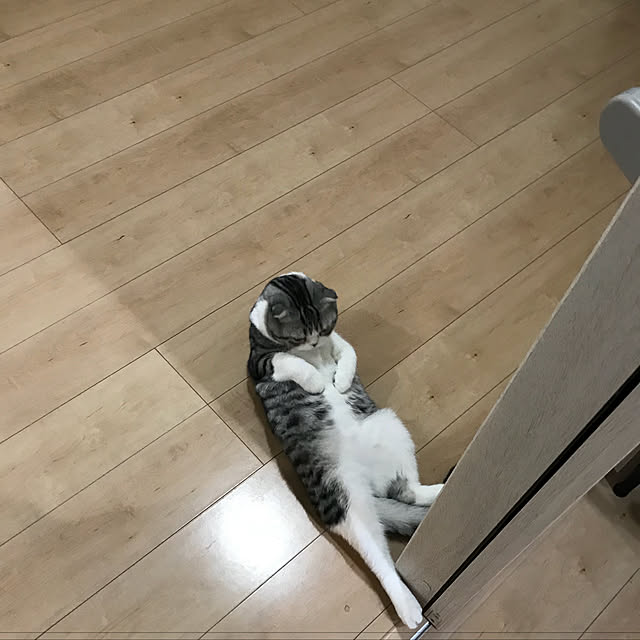 Dahliaさんの実例写真
