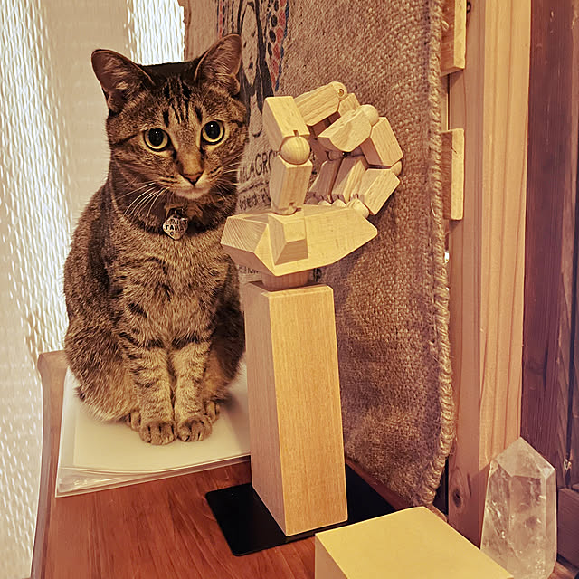 Mさんの部屋