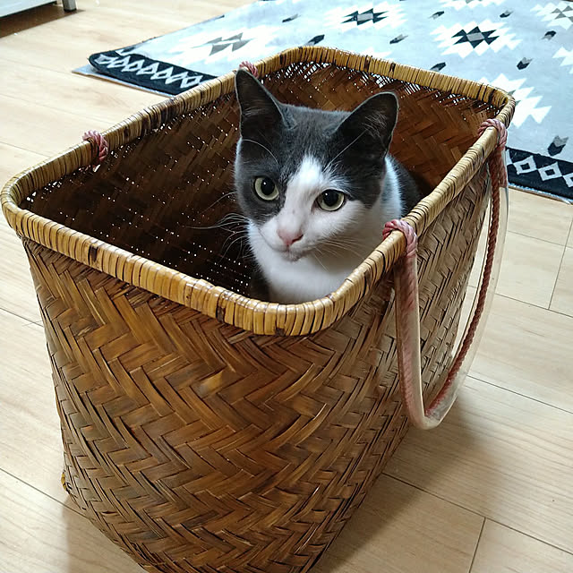 kiyohima229さんの実例写真