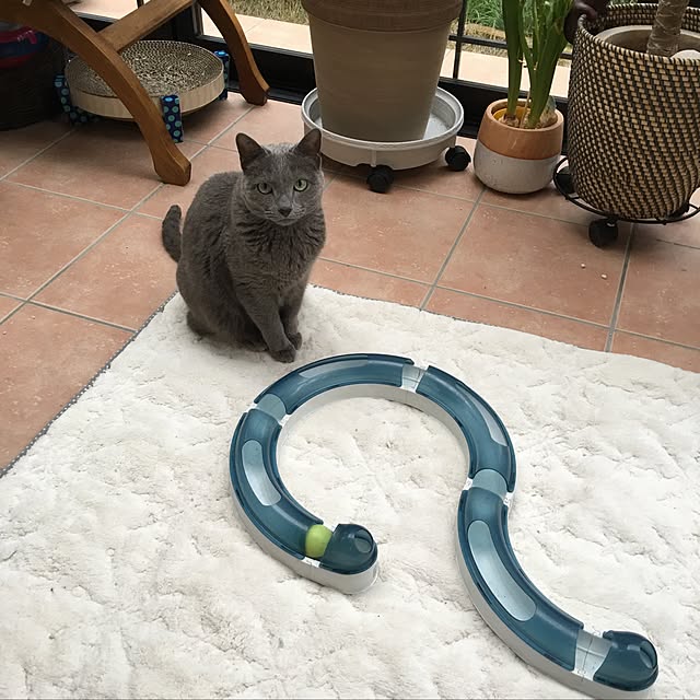 MARIさんの実例写真