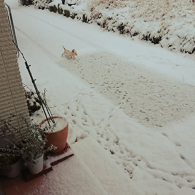 mooemin..さんの実例写真