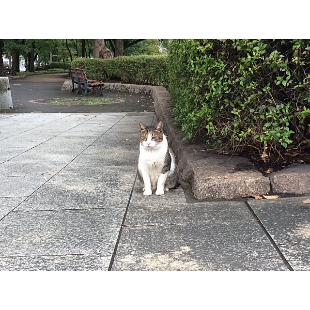 実例写真