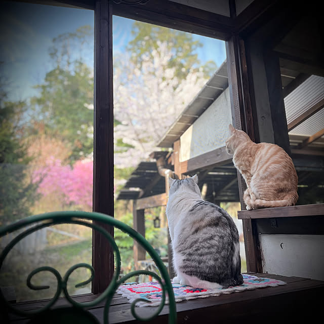 marusanさんの実例写真