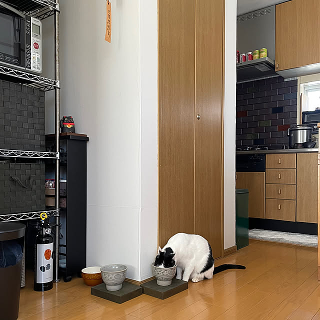 nobikoさんの部屋