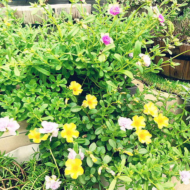 tomoさんの部屋