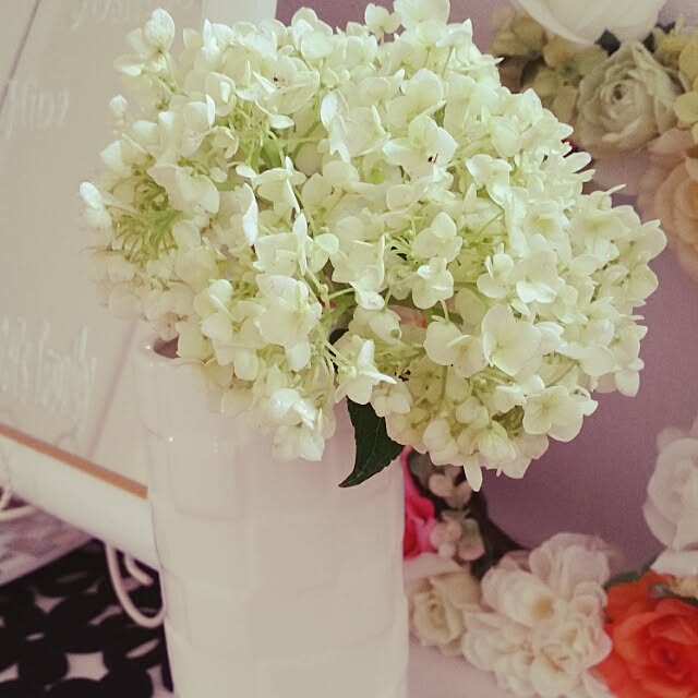 yokoさんの実例写真