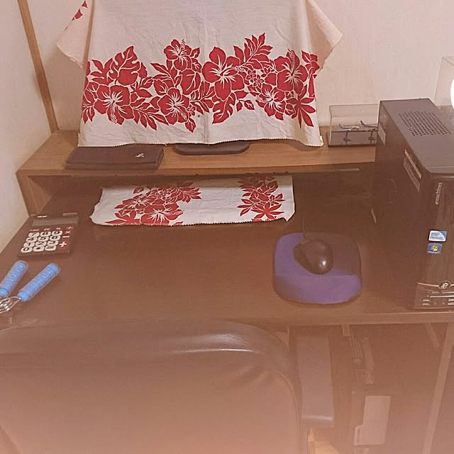 ameamekaasanさんの実例写真