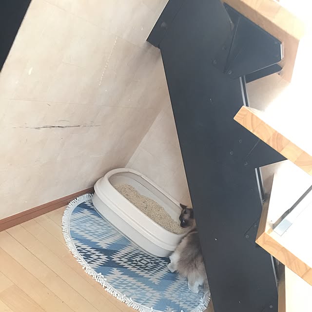 hmhmama0722さんの実例写真