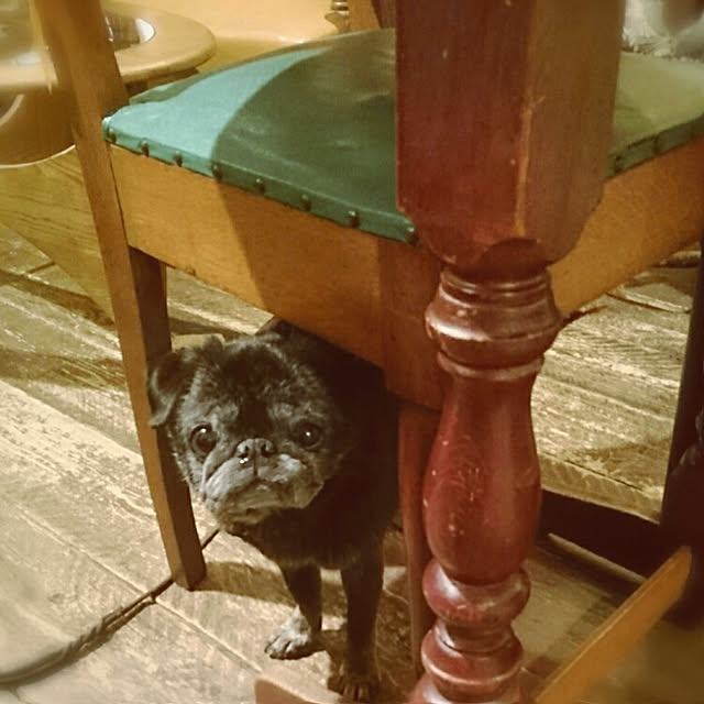 teftef9689さんの実例写真