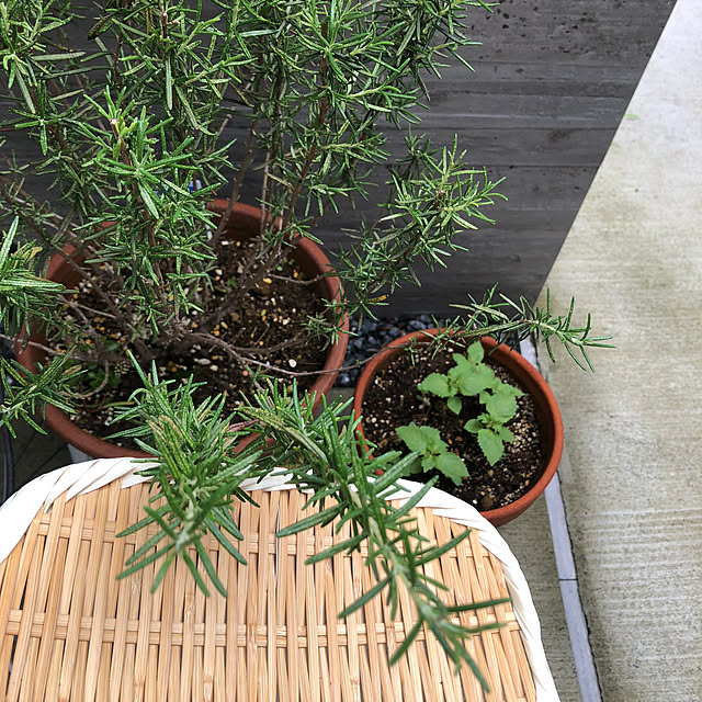Rororiさんの部屋