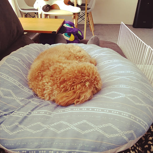 comameさんの実例写真
