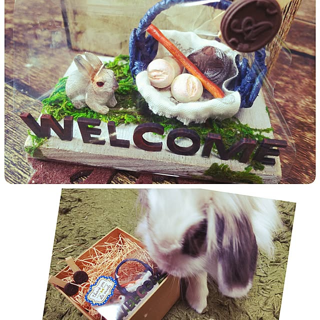 WASABIさんの実例写真