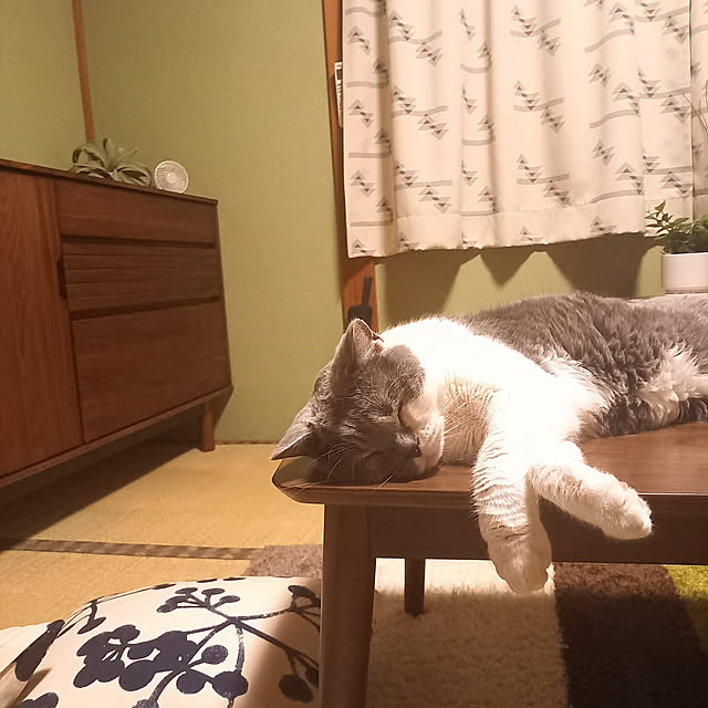 rhuさんの実例写真