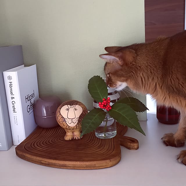 shihoさんの実例写真