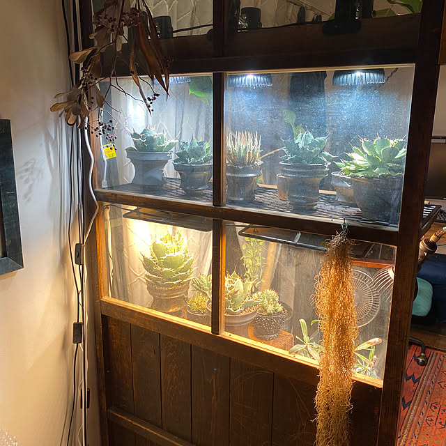 pokkoさんの部屋