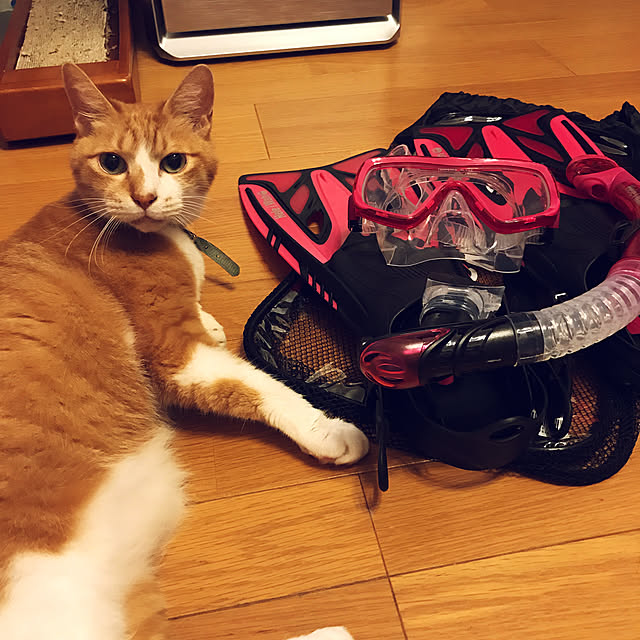 lavie0125さんの実例写真