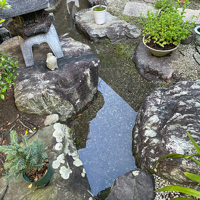 shin0719さんの実例写真