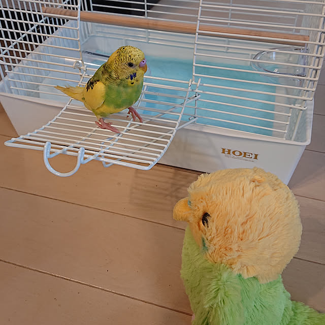 kyonさんの実例写真