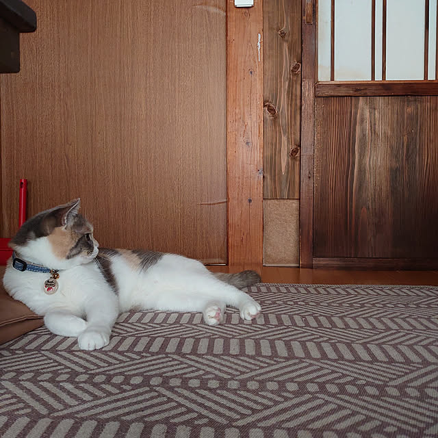 fukuさんの実例写真