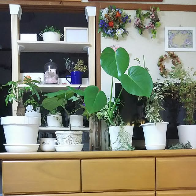 naopyiさんの実例写真