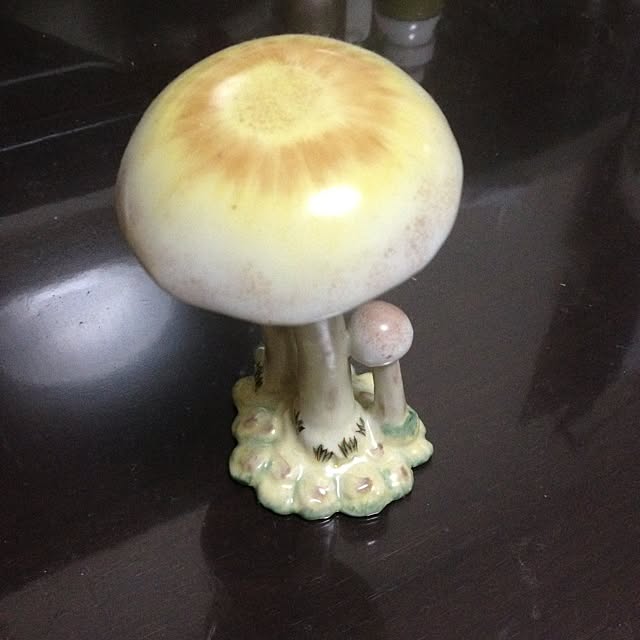 ramuさんの実例写真