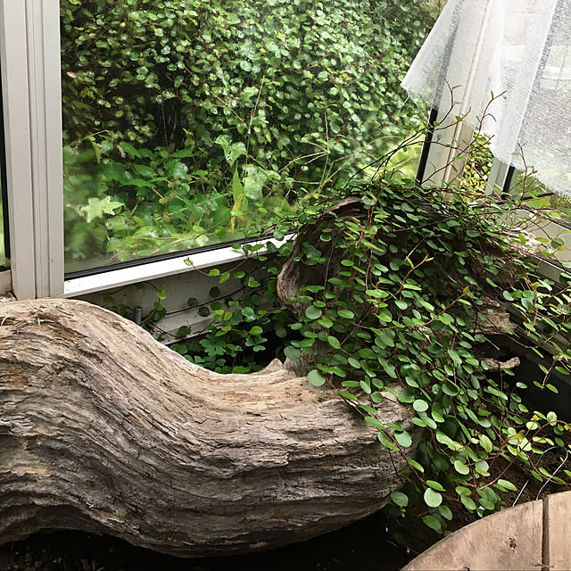 pitaさんの実例写真