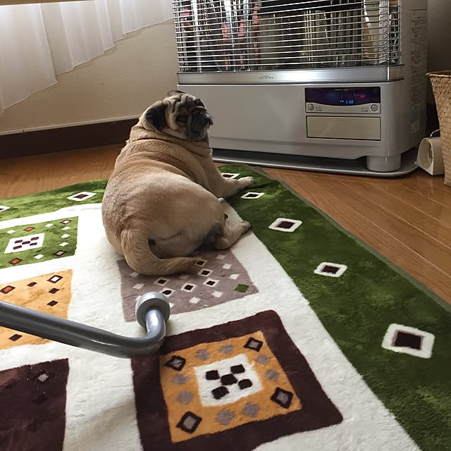 picoさんの実例写真