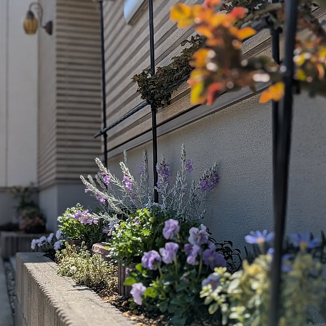 kumijiさんの実例写真