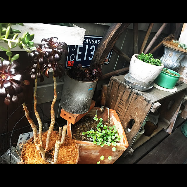 marusanさんの実例写真