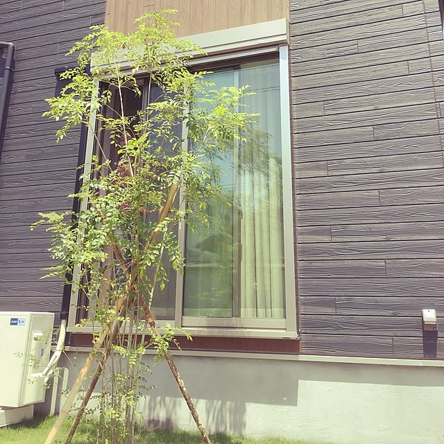 Chibityさんの実例写真