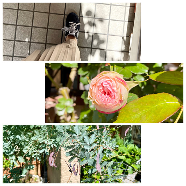 asako.10さんの実例写真