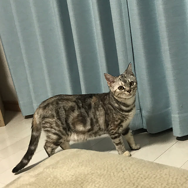 tajaboさんの実例写真