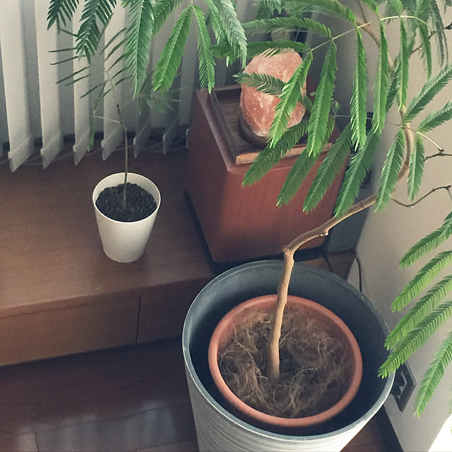 HKSさんの実例写真