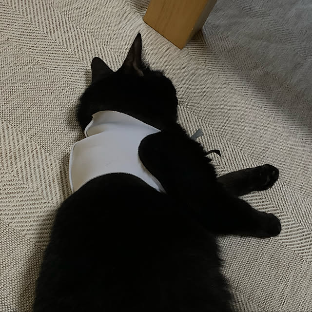 kuromiさんの実例写真