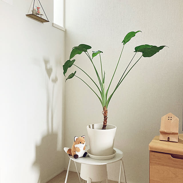 suna_kitsuneさんの実例写真