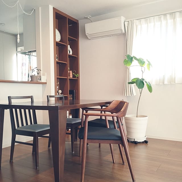 tan5さんの実例写真