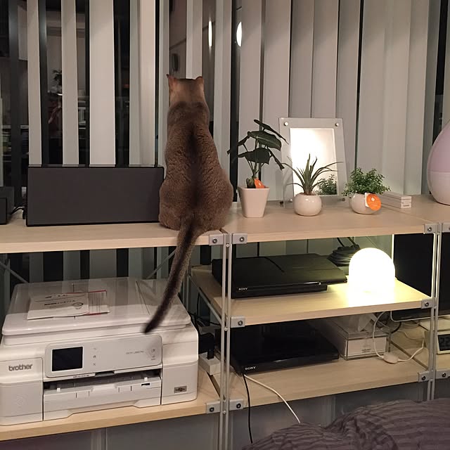 cocomimiさんの実例写真