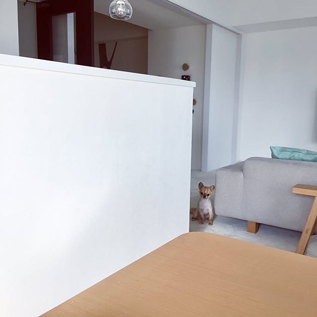 haruhinaさんの実例写真