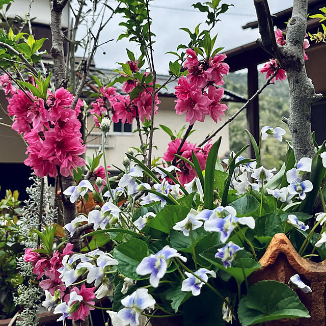 cotaさんの部屋