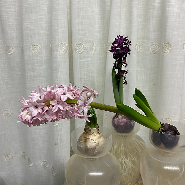 fumikoiさんの部屋