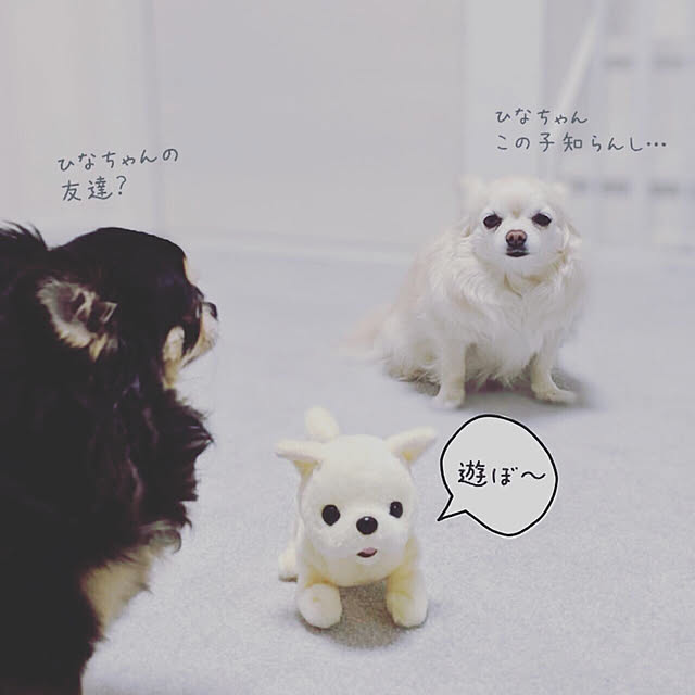 Yumehinaさんの実例写真