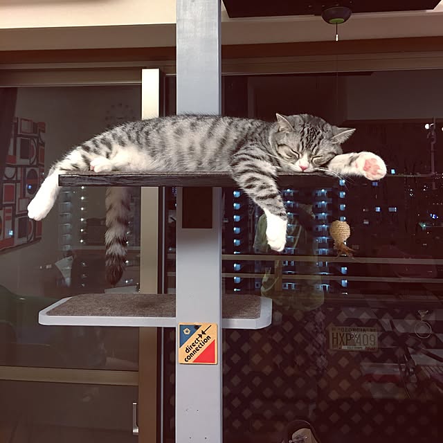 Shojiさんの実例写真