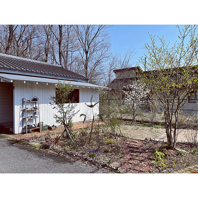 marucoさんの部屋