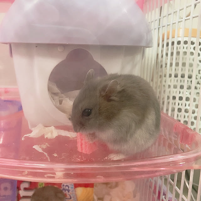 milkさんの実例写真