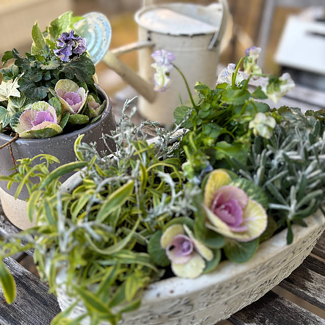 YURIさんの実例写真