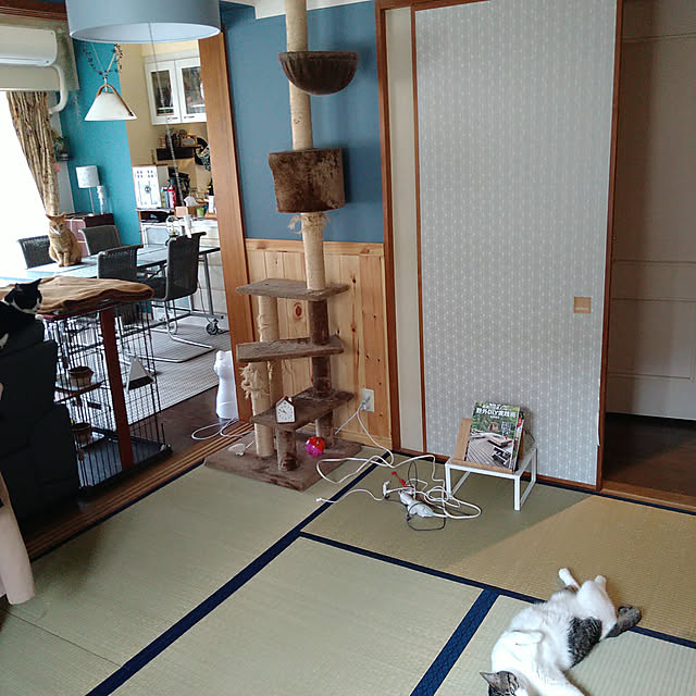 okyosan101さんの実例写真