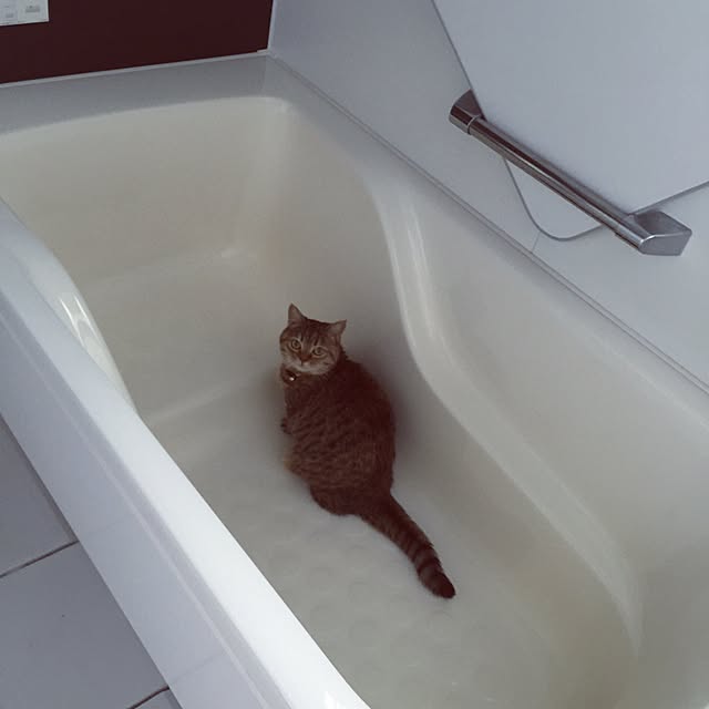 meloさんの実例写真